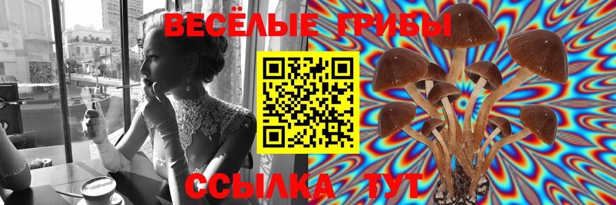 Псилоцибиновые грибы MAGIC MUSHROOMS  Галлюциногенные грибы GOLDEN TEACHER  Чебоксары  Вход с VPN 